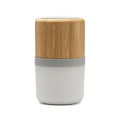 BS3195-BLUETOOTH SPEAKER OZCAN